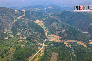 Khởi tố nguyên Phó Ban Quản lý rừng phòng hộ Đam B’ri ở Lâm Đồng