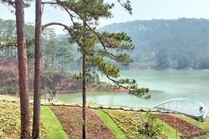 Lâm Đồng sẽ sáp nhập Lạc Dương vào TP Đà Lạt