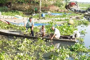Tây Ninh: Nước sông Vàm Cỏ Đông đen bất thường