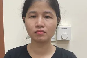 Chiếm đoạt gần 4 tỷ, nguyên nữ cán bộ tài nguyên môi trường bị bắt giam