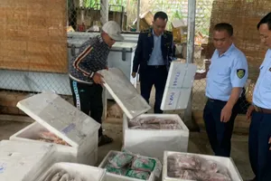  Lâm Đồng: Quản lý Thị trường thu giữ hơn 2 tạ thực phẩm đông lạnh trôi nổi