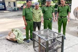 Hoảng hồn gặp trăn gấm nửa tạ trong nhà tắm