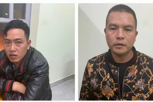 Lâm Đồng: Bắt 2 người hạ 143 cây thông 3 lá