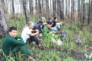 Trưởng phòng TN&MT huyện Bảo Lâm bị khởi tố