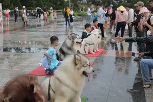 Đèo Bảo Lộc thông thoáng trong sáng sớm ngày đầu nghỉ lễ
