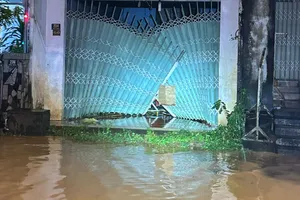 Mưa lớn kéo dài, Quốc lộ 20 đầu địa phận Lâm Đồng ngập sâu