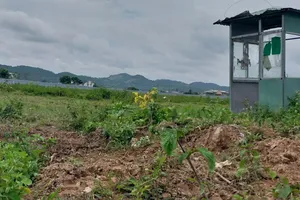 UBND tỉnh Lâm Đồng yêu cầu khẩn trương thi công nhà ở xã hội ở huyện Đức Trọng