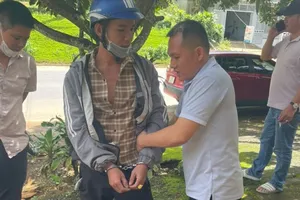 Vận chuyển con tê tê Java nặng 5,3 kg