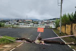 Hố sâu xuất hiện trong khu tái định cư Bệnh viện Nhi Lâm Đồng