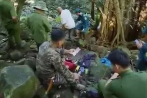 Phát hiện 1 bộ xương người trong rừng ở Bảo Lộc