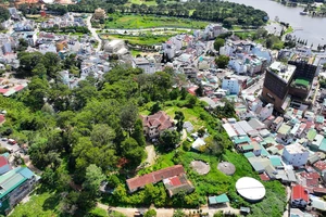 Lâm Đồng cung cấp thông tin các dự án trồng, chăm sóc cây xanh theo yêu cầu của Bộ Công an