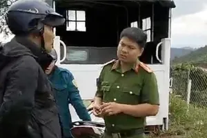 Giao vườn cà phê đang tranh chấp cho vợ Hoàn Xuyến thu hoạch