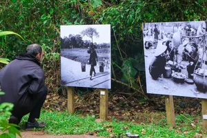 Triển lãm City of Arts ở Đà Lạt đón du khách từ 22-11