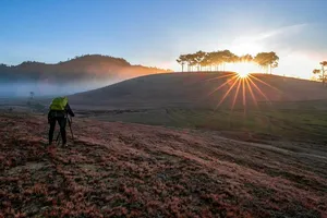 Rực rỡ mùa hội cỏ hồng Lang Biang với những trải nghiệm khác biệt