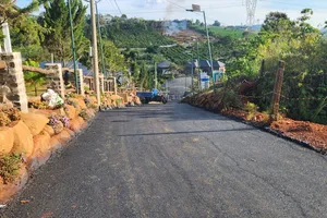 Tạm đình chỉ công tác chủ tịch xã Đam B’ri