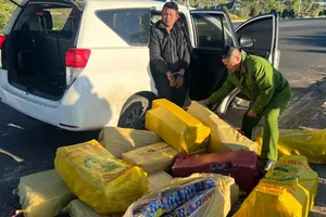 Dùng taxi chở gần nửa tạ pháo nổ từ Đồng Nai lên Lâm Đồng