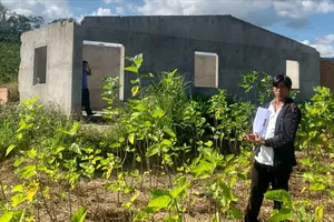 Hàng xóm đi vắng, gọi người đến dỡ nhà bán phế liệu