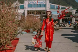 Xứ ngàn hoa vào mùa hoa tết