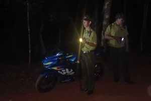 Kiểm lâm tuần tra xuyên đêm giao thừa để phòng chống cháy rừng