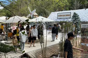 Đến ngày mồng 5, Đà Lạt đón 238.000 du khách