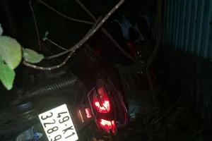 Chạy xe máy ôm cua tông vào nhà dân rồi mắc kẹt giữa thân cây