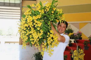 Kim điệp mắt đỏ đạt giải đặc biệt Hội thi hoa lan TP Bảo Lộc