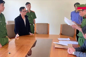 Bị khởi tố vì phá huỷ hơn 2 ngàn cây Atiso trên đất đang tranh chấp