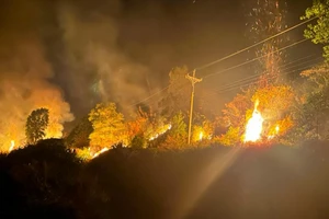 Tạo ranh cản lửa, dập tắt vụ cháy rừng trong đêm ở Lâm Đồng