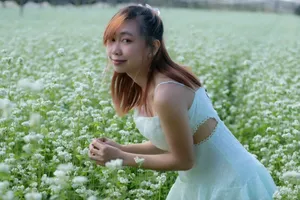 Mê mẩn vườn hoa tam giác mạch trắng muốt ở Ka Đô