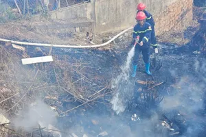 Đốt cỏ làm cháy lan vào khu dân cư ở Đà Lạt
