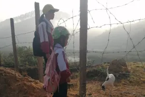 Hàng rào kẽm gai và văn hoá doanh nghiệp