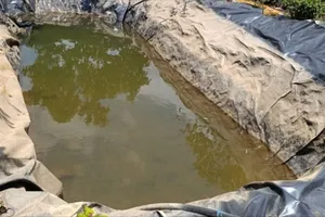 2 mợ cháu đuối nước dưới hồ nước tưới cà phê 