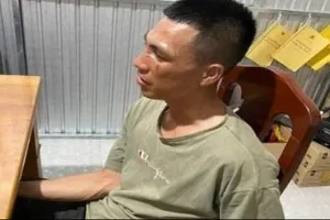 Bắt nghịch tử đánh cha, phá tài sản của mẹ