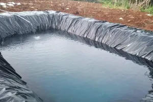 Rơi xuống hồ chứa nước tưới sầu riêng, cháu bé 3 tuổi tử vong