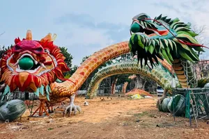 Bị phạt 90 triệu vì mang cặp linh vật rồng từ đường hoa Nguyễn Huệ lên gắn ở Đà Lạt 