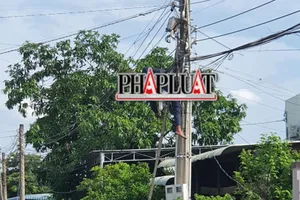 Leo cột điện, bị điện giật tử vong