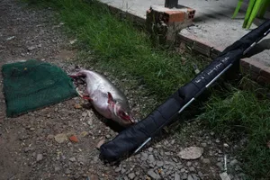 Công an tỉnh Tây Ninh bắt quả tang 84 người câu cá ăn tiền