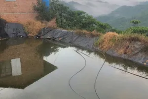 Đau lòng cha lao mình xuống hồ tìm 2 con nhưng không cứu kịp