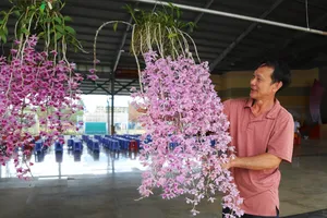 Thành lập Hội hoa Lan TP Bảo Lộc