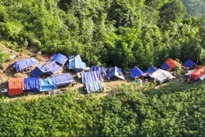 Trưởng thôn Kho Vàng dời 115 người dân lên núi: Tôi phải tự quyết vì mất liên lạc 