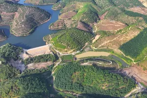 Lâm Đồng: Không cần chuyển đổi mục đích khi xây dựng trên đất nông nghiệp