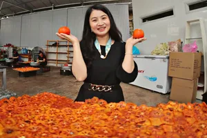 Mùa hồng chín ở Đà Lạt cũng là một mùa hoa