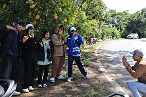 Công an điều tra vụ lừa đảo đặt phòng Festival Hoa Đà Lạt