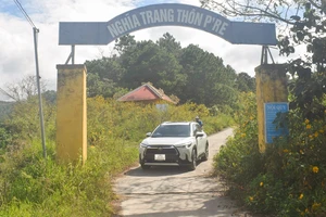 Ban quản lý nghĩa trang bán đất mộ lấy tiền tiêu xài