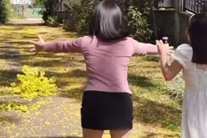 Xôn xao clip du khách ôm hoa phượng vàng, lãnh đạo Sở VH-TT&DL Lâm Đồng lên tiếng