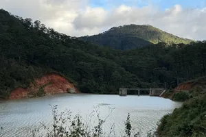 Tỉnh Lâm Đồng thu hồi 45 dự án cho thuê môi trường rừng