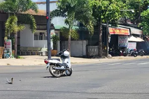 Vụ xe cứu thương gây tai nạn: Xe cứu thương không bật tín hiệu ưu tiên