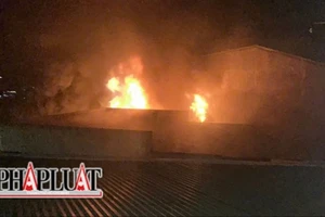 Cháy kho chứa 10 tấn len ở TP Đà Lạt