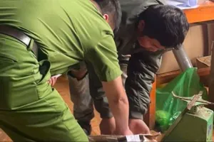  Lâm Đồng: Thu giữ hơn 1,6 tấn bánh kẹo không rõ nguồn gốc 