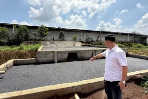 Dân kêu cứu vì trại heo gây ô nhiễm giữa khu dân cư